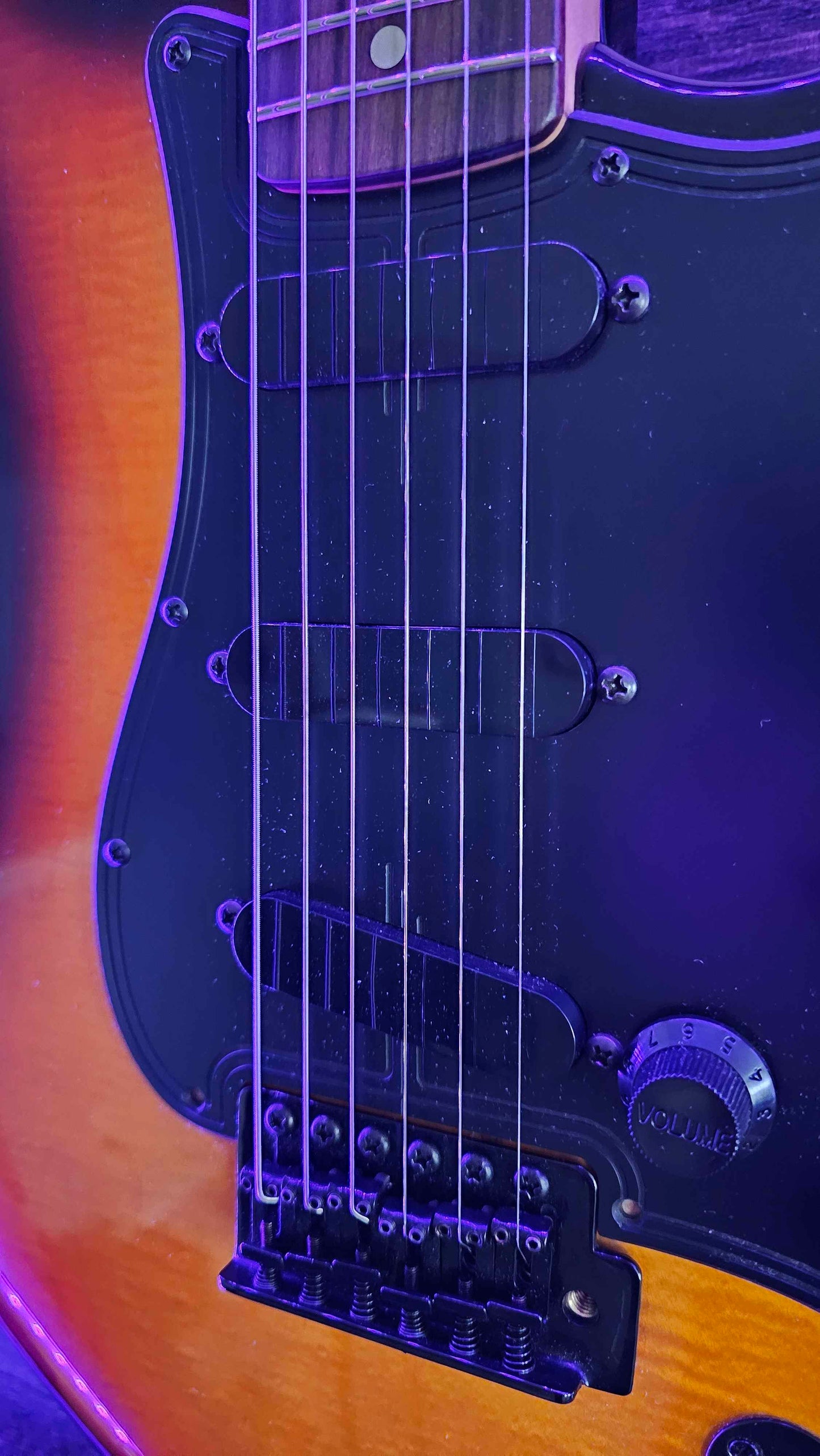 Fender Standard Stratocaster® Midnight Black Custom Edition
